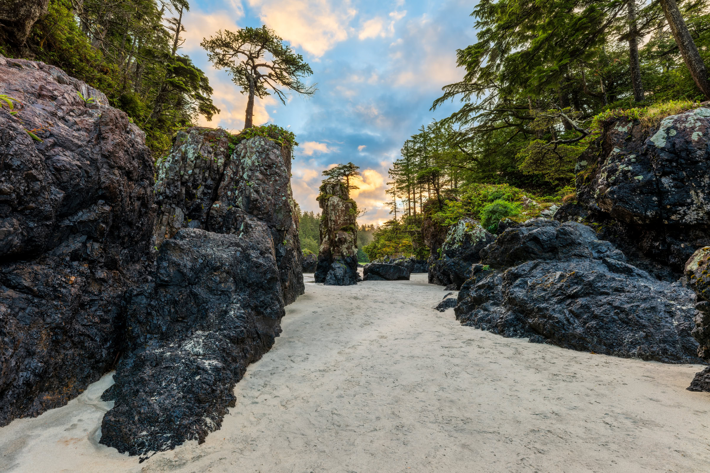 San Josef Bay sea stacks print showing the walk between tree-topped sea stacks on the sand at low tide at sunrise, Cape Scott Provincial Park, Vancouver Island, BC, by James Wheeler.