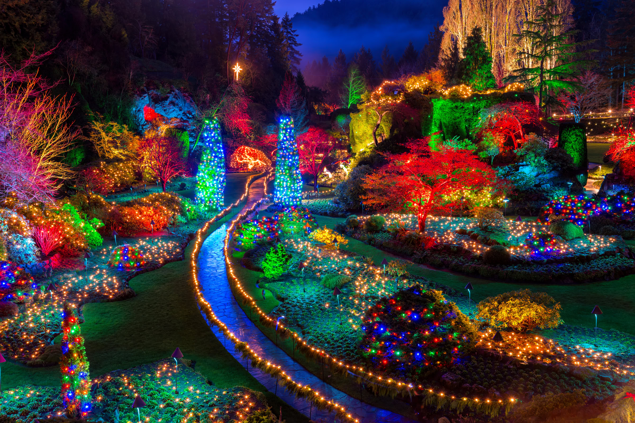 Butchart Gardens Christmas lights print showing the Sunken Garden at night with a blue-lit path winding through lit trees, Brentwood Bay, BC, by James Wheeler.