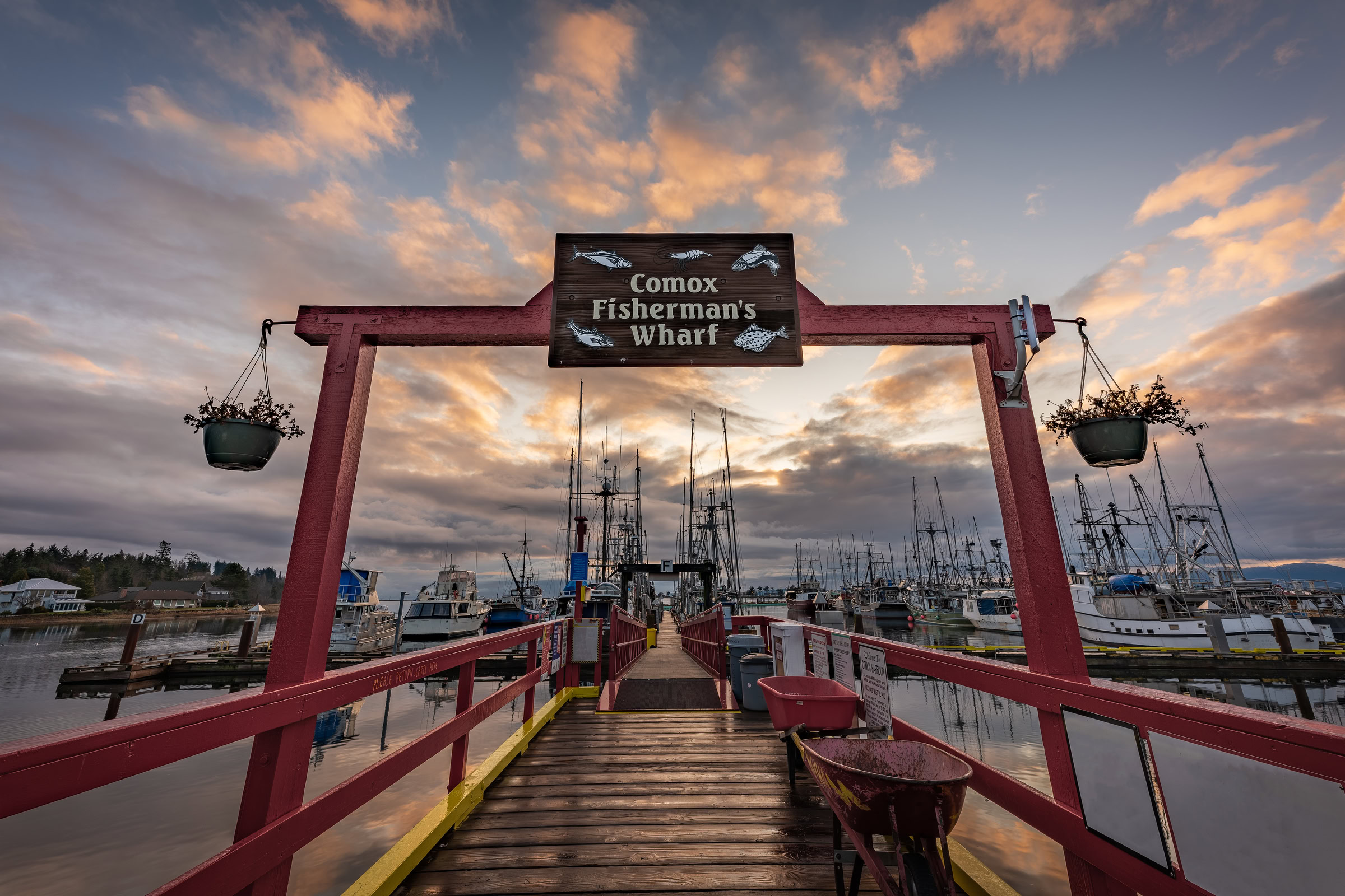 Comox Fisherman's Wharf wall art showing a wet wharf deck reflecting morning light after a rainy night, Comox Harbour, BC, by James Wheeler.