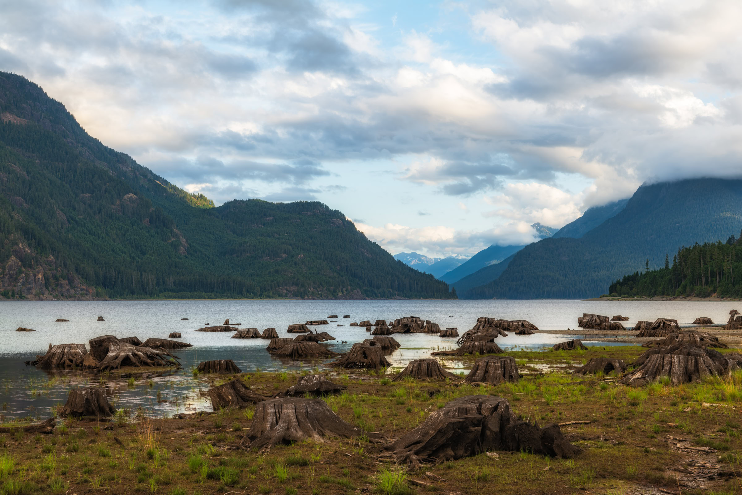 Buttle Lake wall art showing old growth stumps exposed at low water along the shore, with Strathcona Park peaks lit in the distance, Vancouver Island, BC, by James Wheeler.