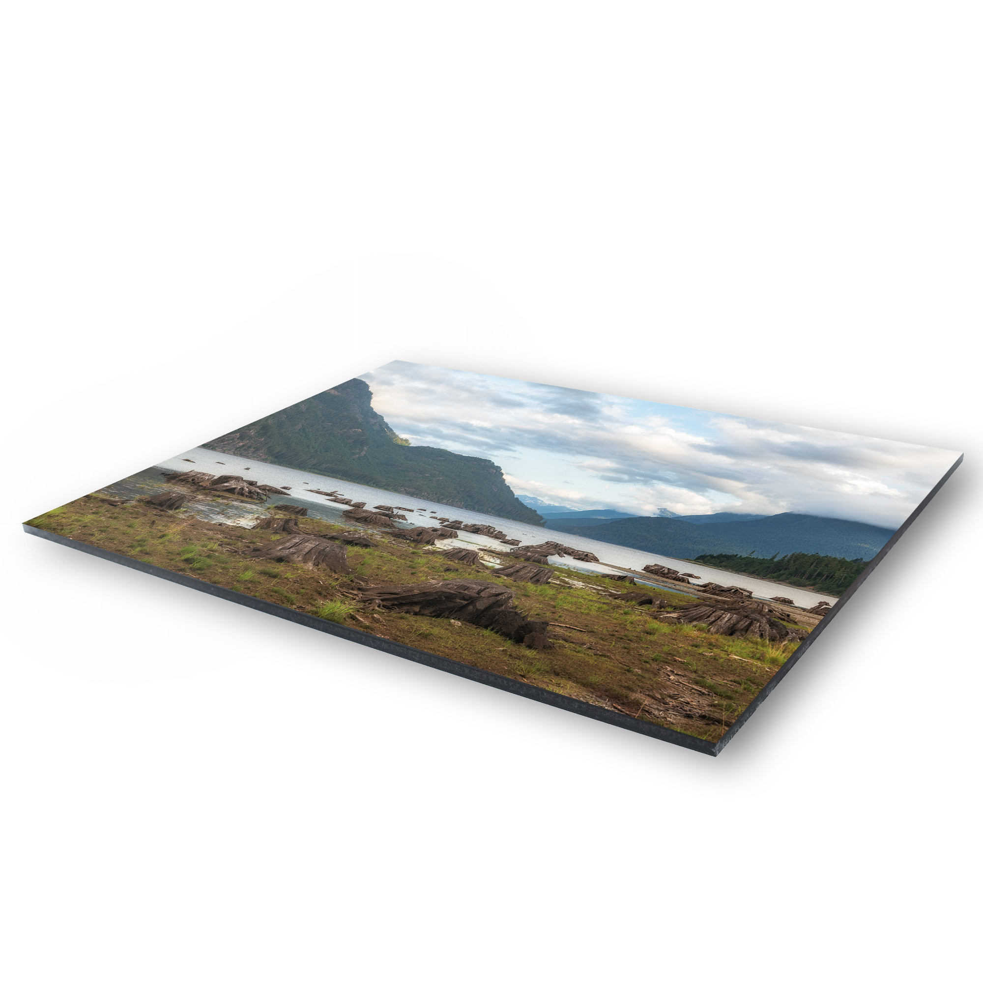 Drowned Forest of Buttle Lake as a acrylic print.