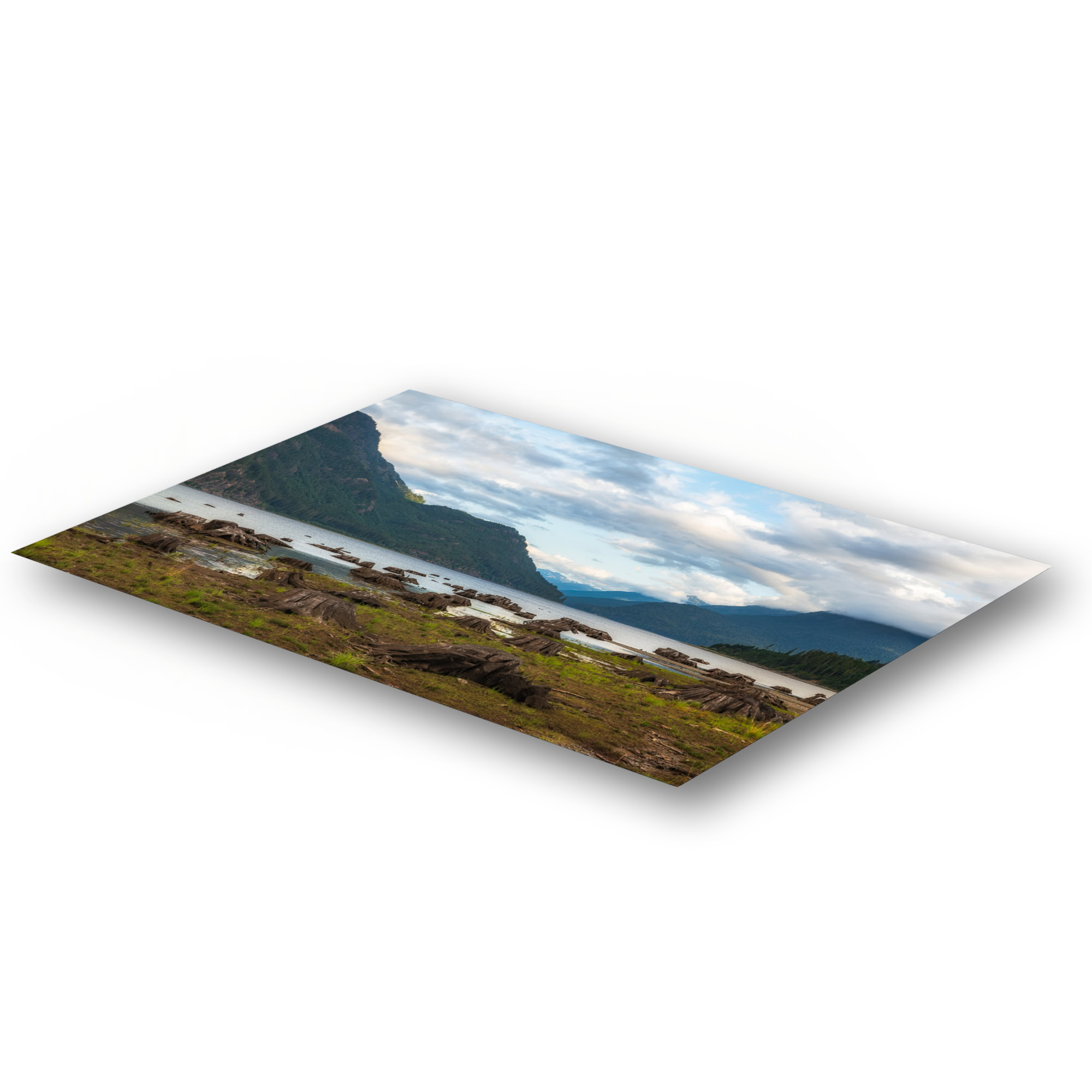 Drowned Forest of Buttle Lake as a metal print.