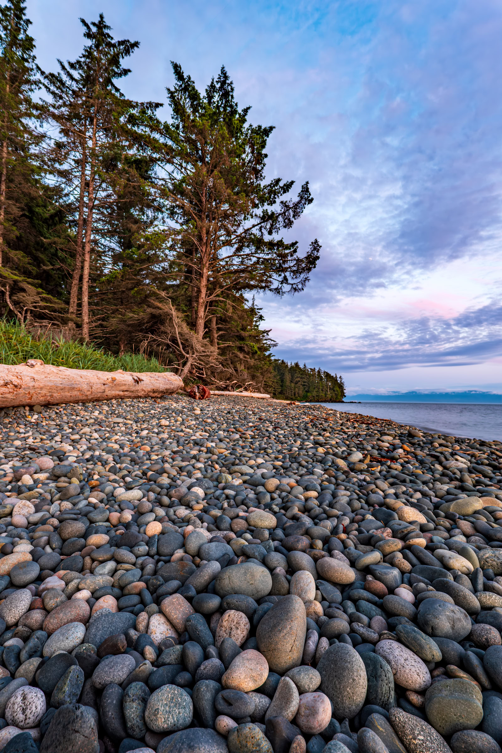 French Beach Provincial Park print showing wave-rounded stones, a driftwood log and shore trees under a pink summer evening sky near Sooke, BC, by James Wheeler.