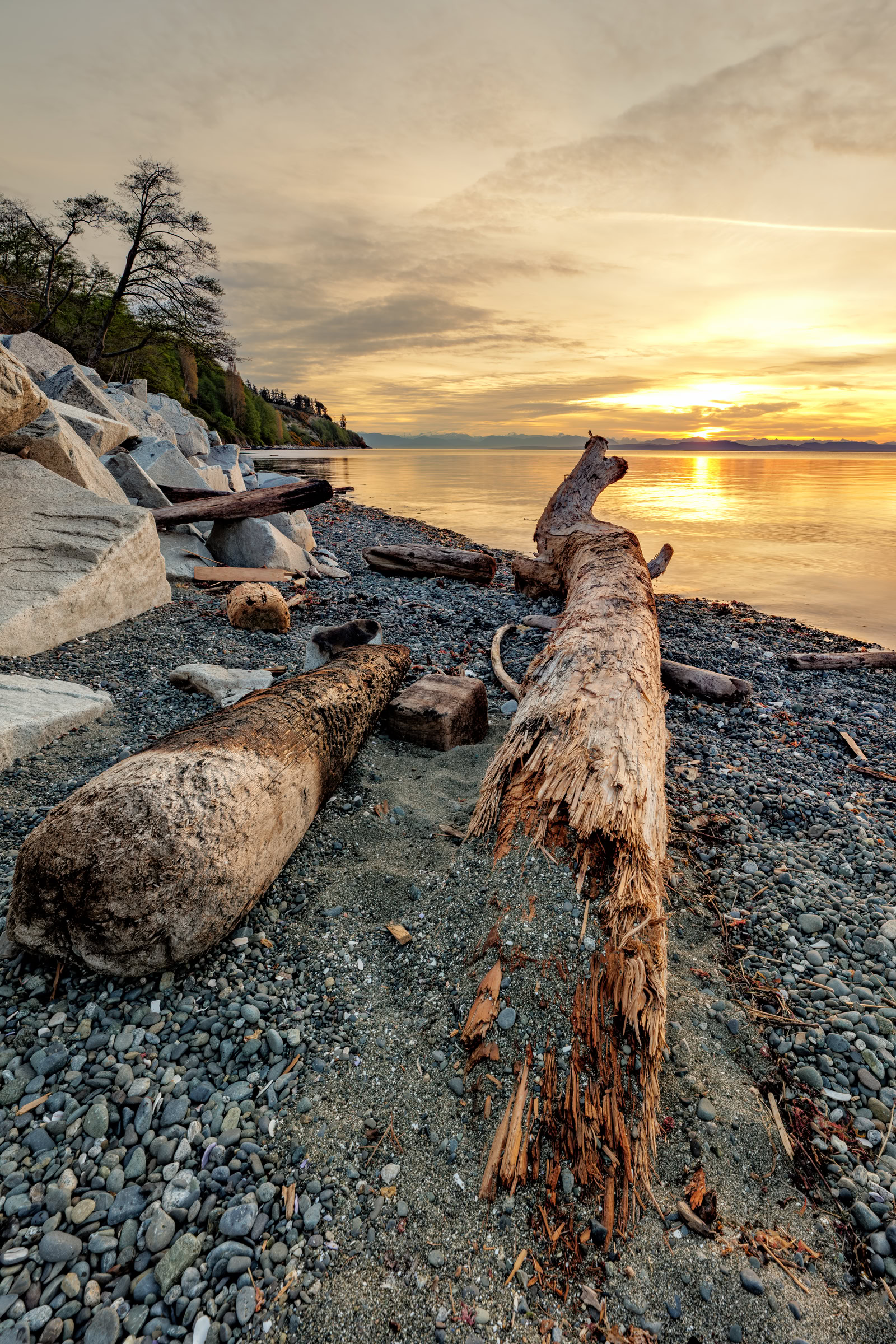 Goose Spit wall art showing weathered logs at dawn on Goose Spit, Comox Valley, Vancouver Island, BC, fine art print by James Wheeler.