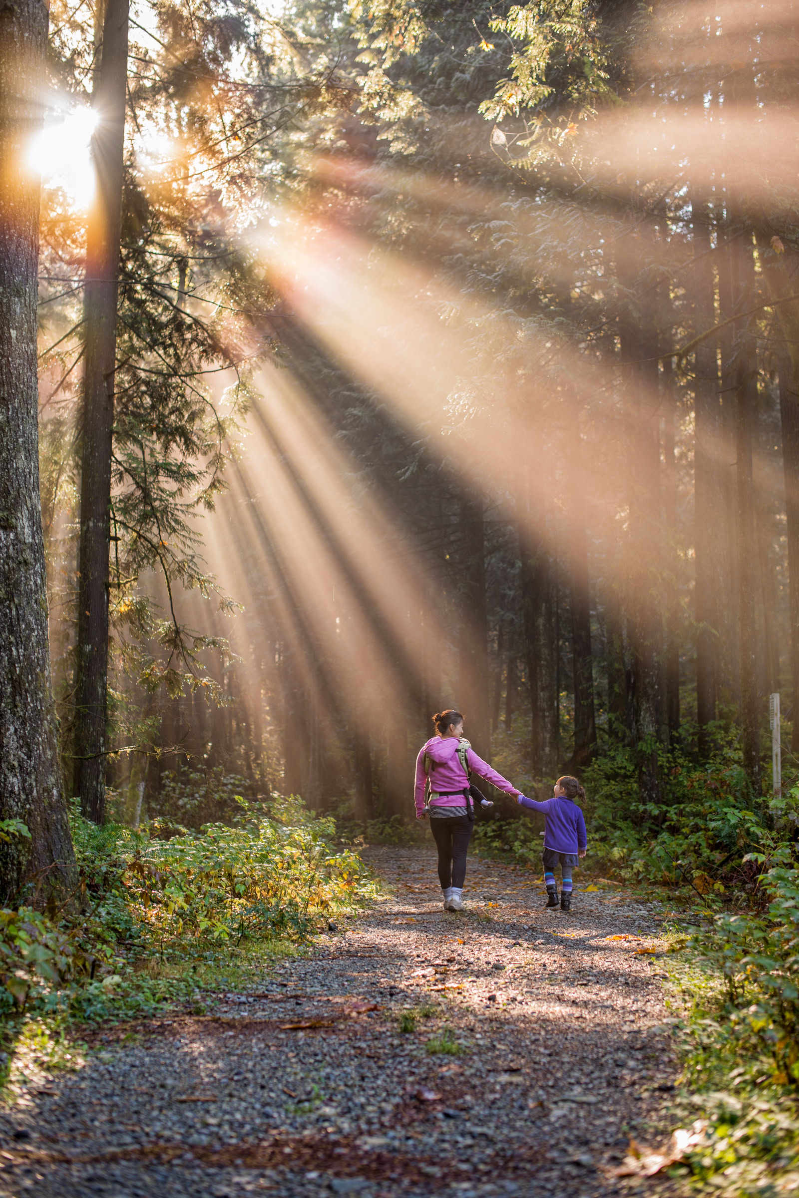 Golden Ears Park sun rays through morning fog, a mother and daughter walking a forest trail near Maple Ridge, BC, by James Wheeler.