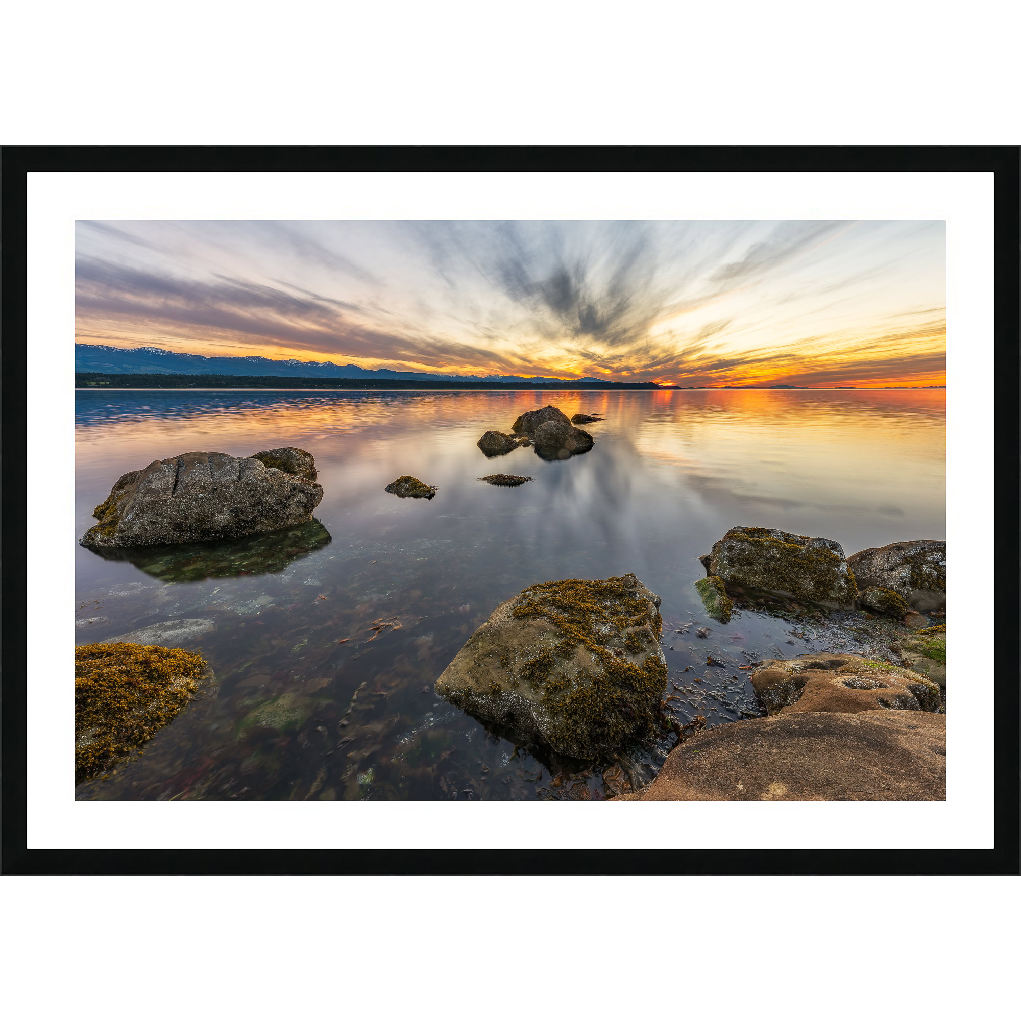 Hornby Island Evening Reflection as a framed print.