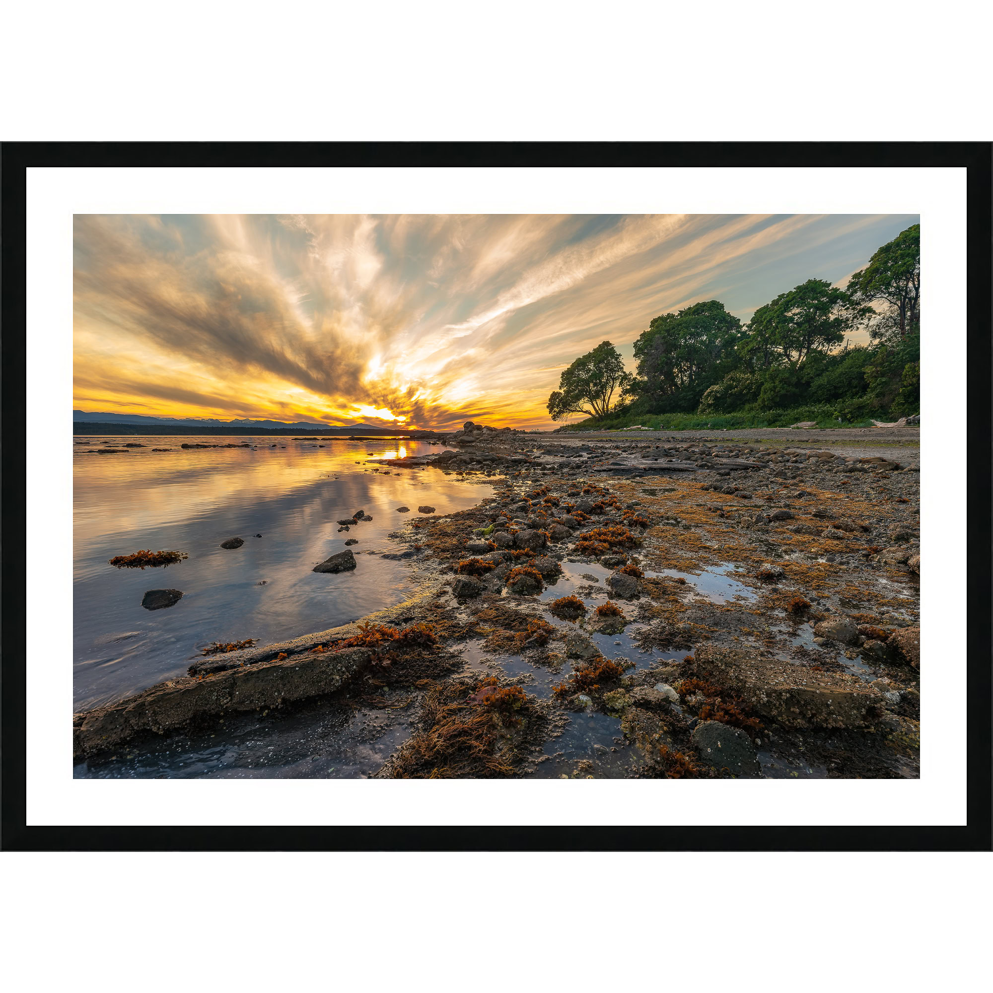 Hornby Island Low Tide at Sunset as a framed print.