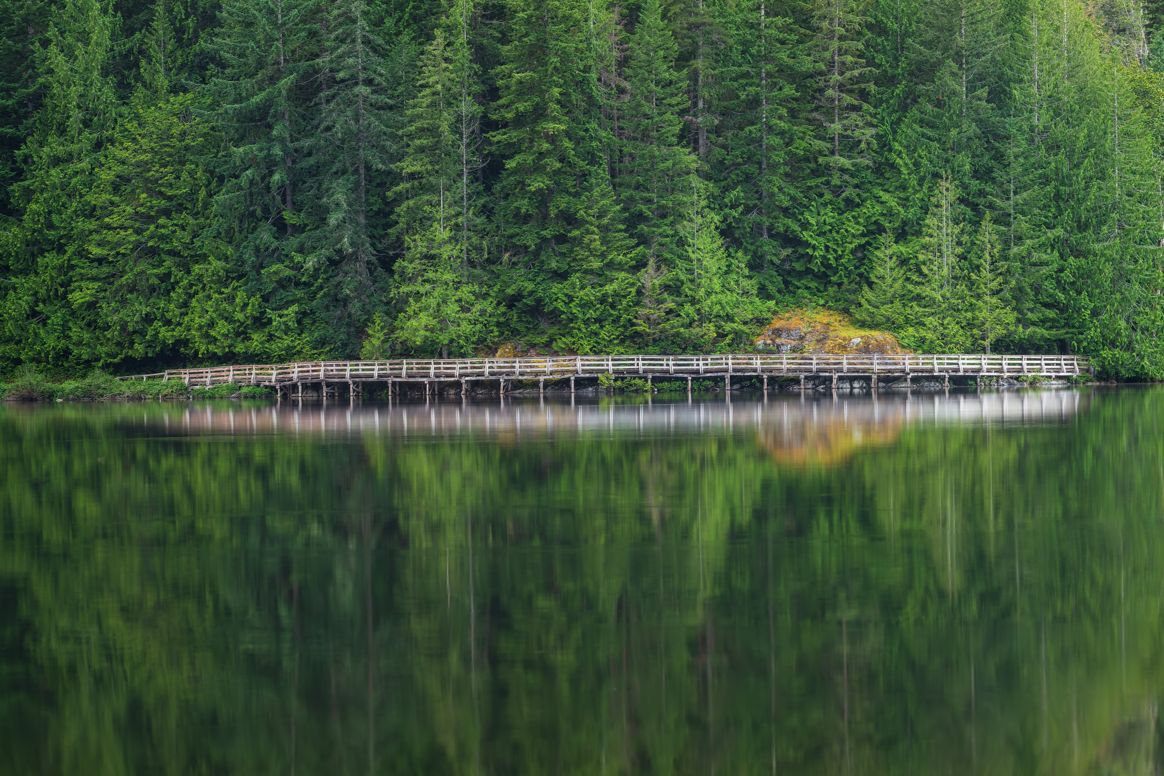 Inland Lake Provincial Park print of a wooden boardwalk under evergreens mirrored in calm green water near Powell River, BC, by James Wheeler.