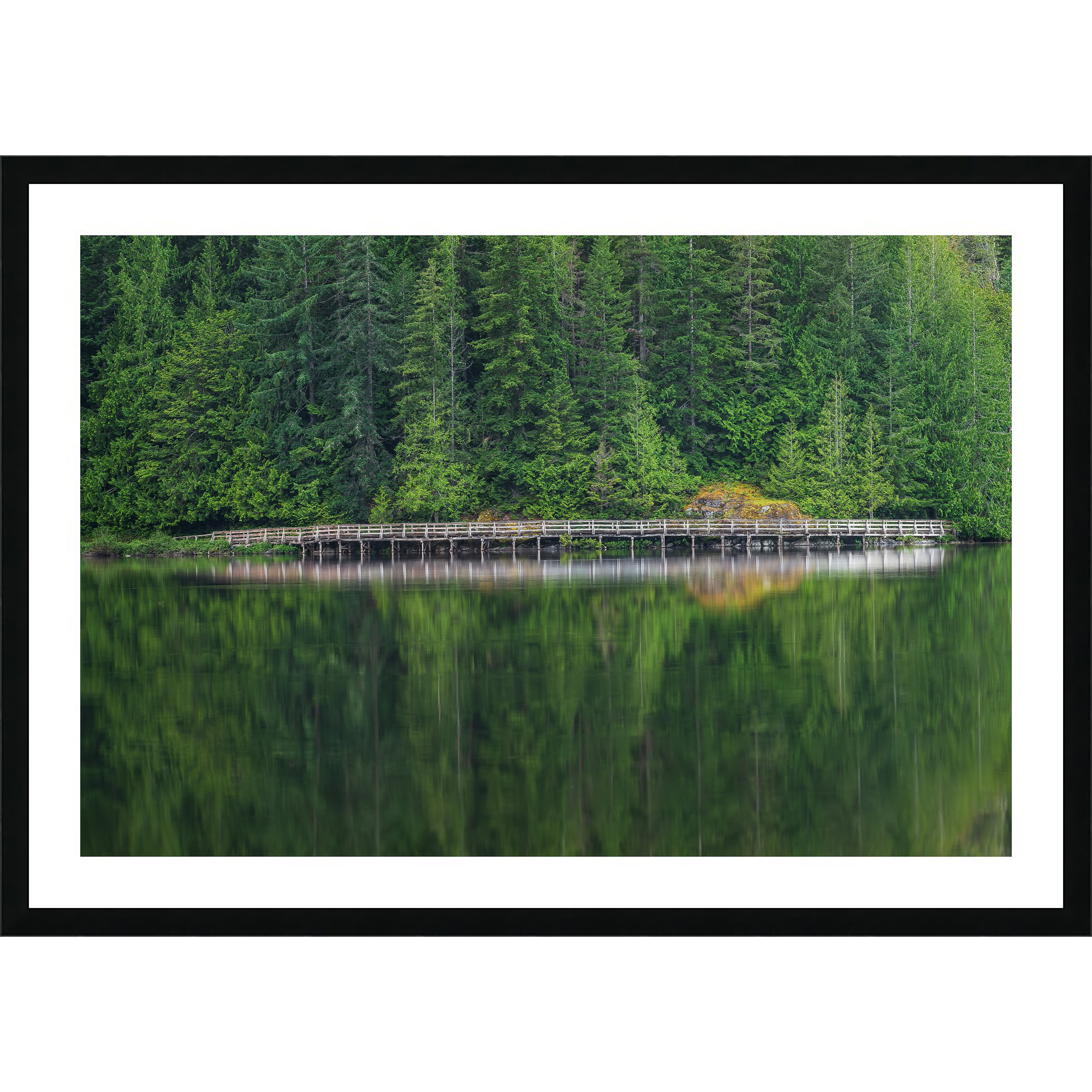 Inland Lake Boardwalk Reflection as a framed print.