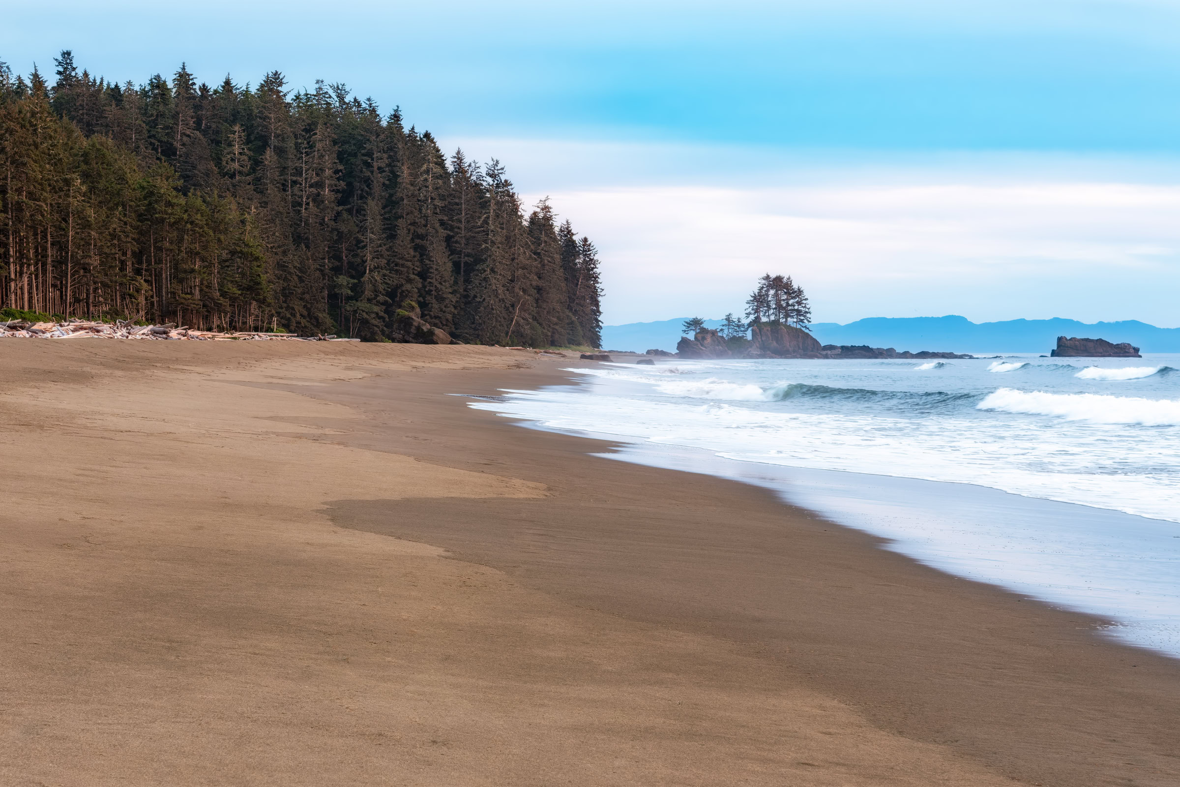 West Coast Trail wall art showing the sand beach at Cribs Creek, low surf and a tree-topped headland at dusk, Vancouver Island, BC, by James Wheeler.