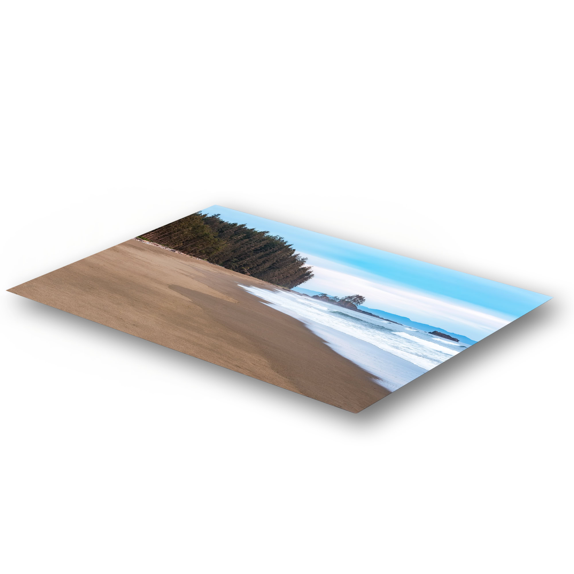 Looking Back Along the West Coast Trail as a metal print.