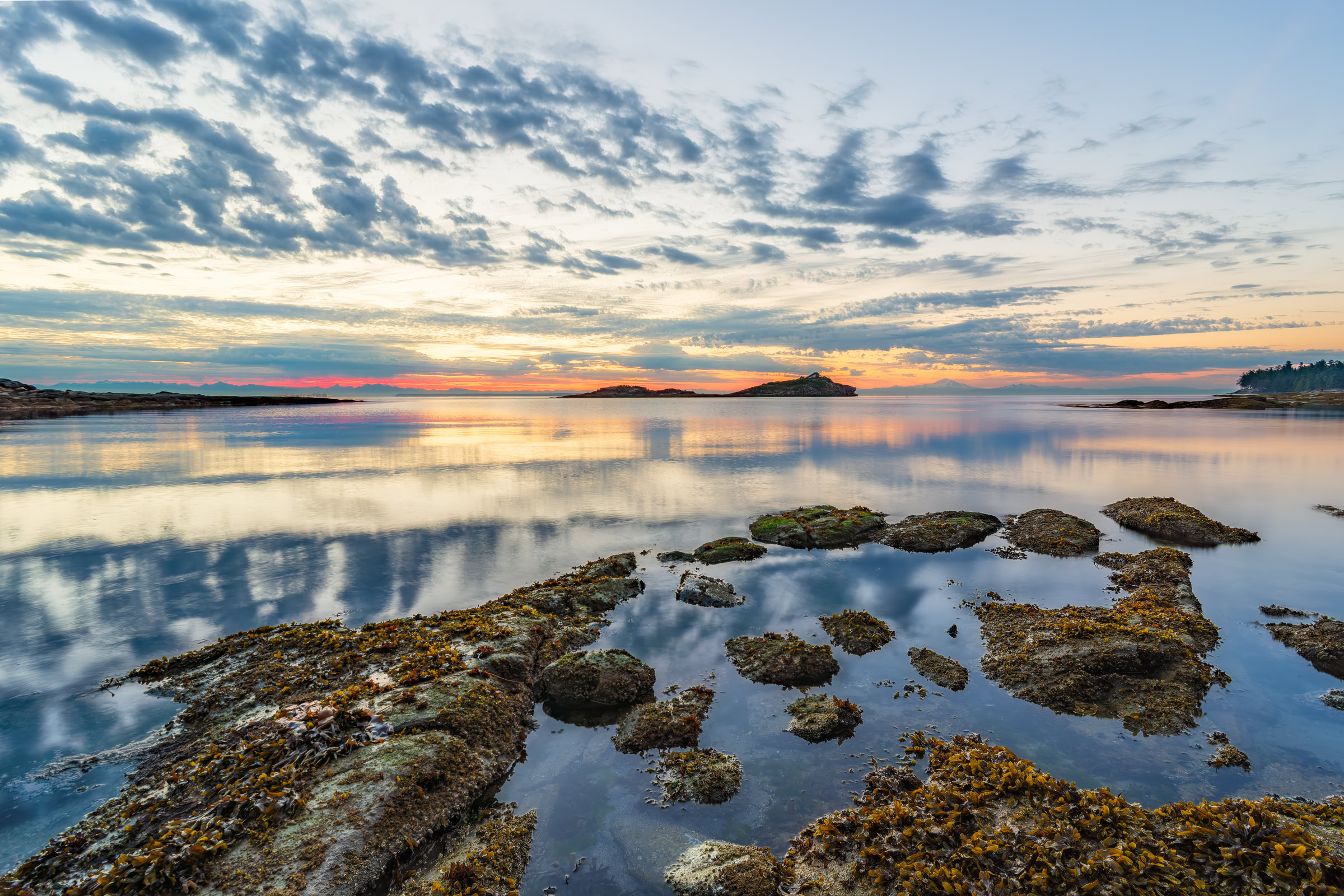 Galiano Island sunrise wall art of rockweed-covered shore rocks and still water mirroring the dawn clouds at Morning Beach, BC, by James Wheeler.