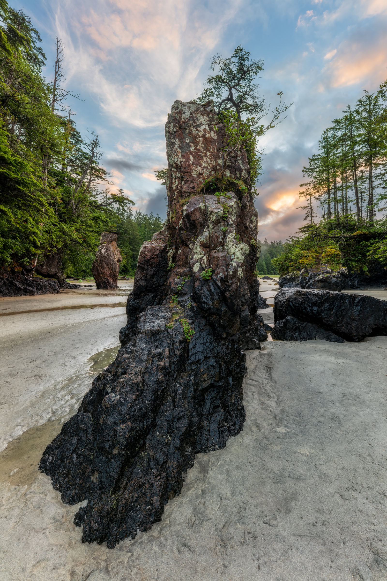 Cape Scott wall art showing a tall sea stack with a tree on top rising from the sand at San Josef Bay at sunrise, Vancouver Island, BC, by James Wheeler.