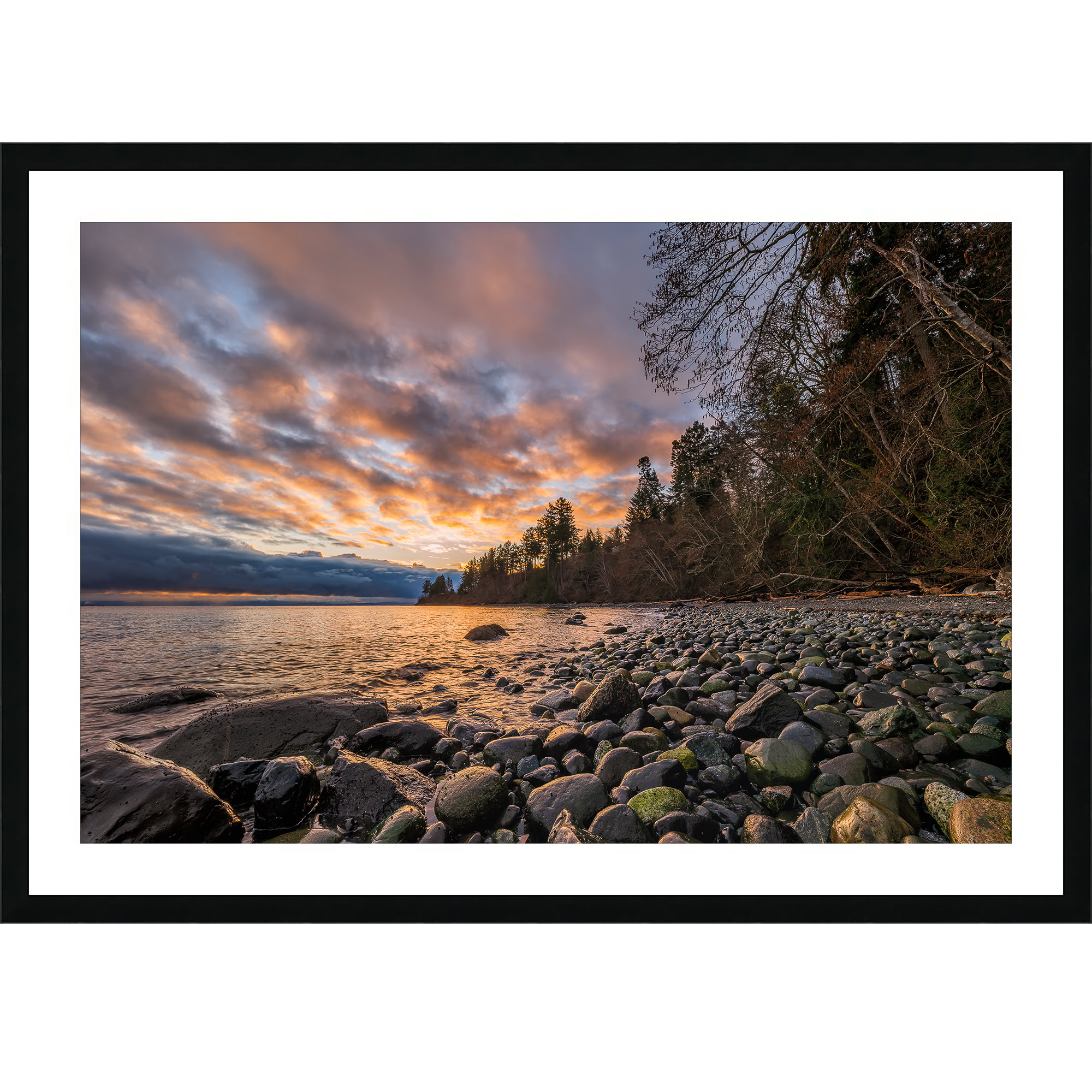 Spring Light at Seal Bay as a framed print.