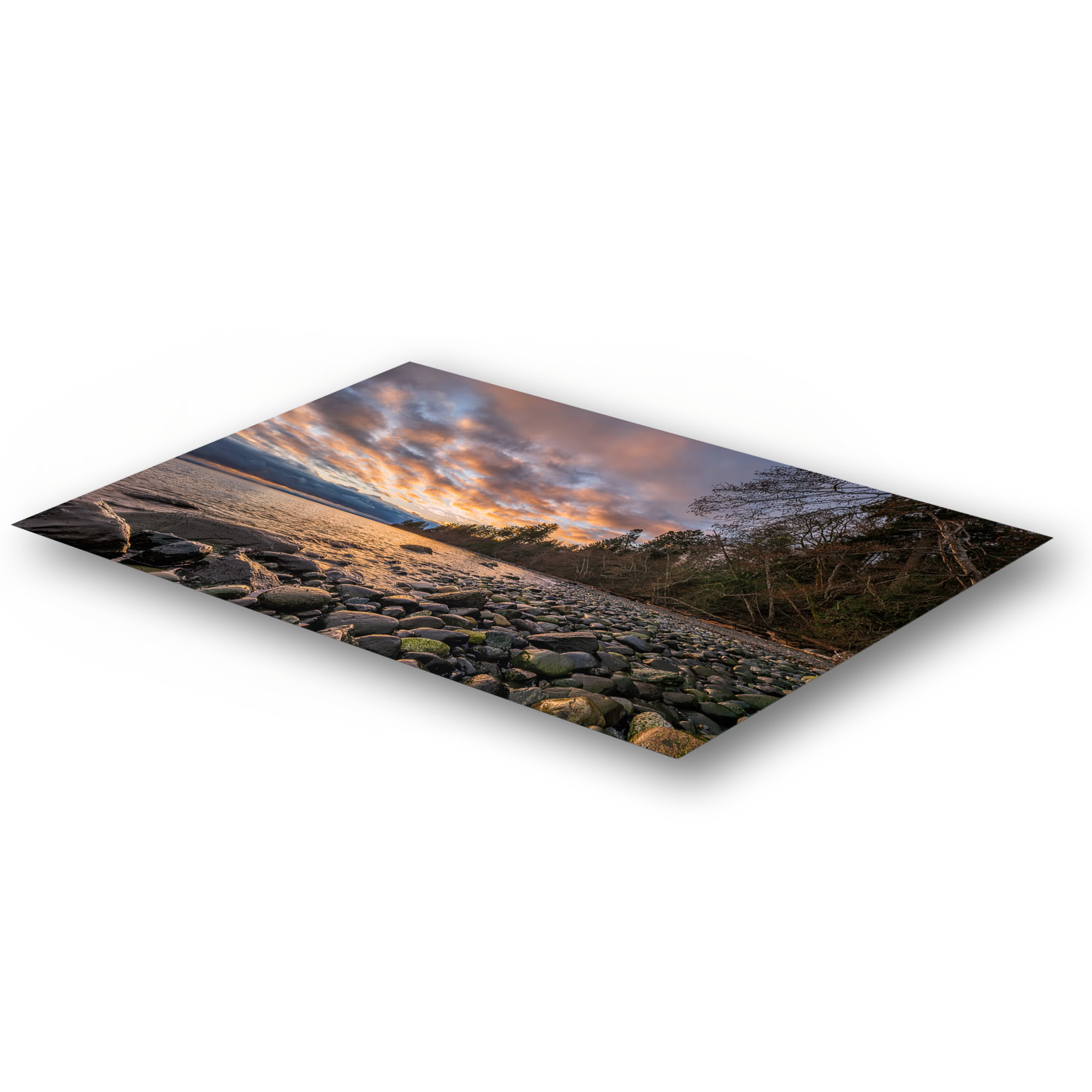 Spring Light at Seal Bay as a metal print.