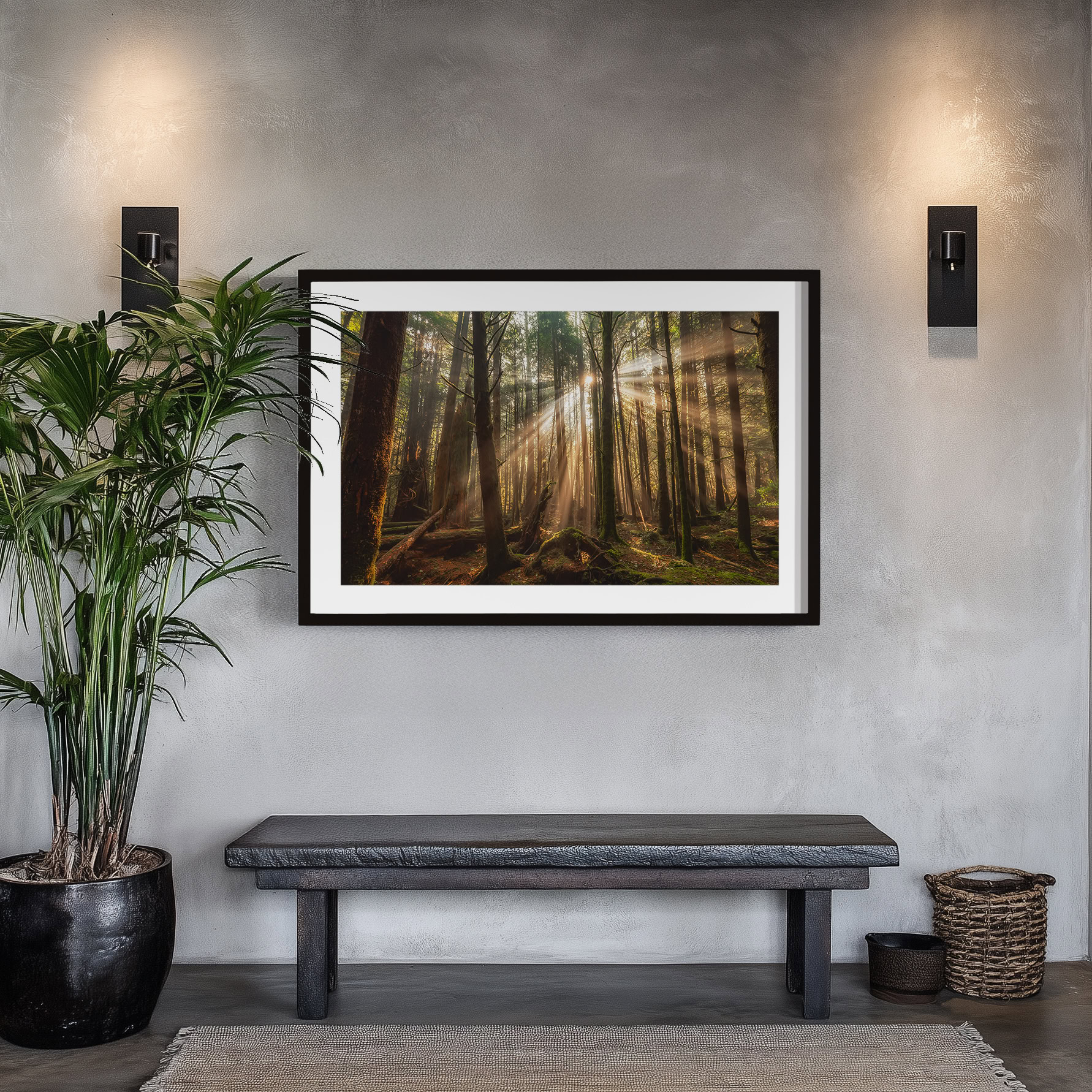 Tofino Rainforest Sunbeams in Morning Fog print shown on the wall in an entryway.